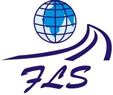 Fast Link Services logo